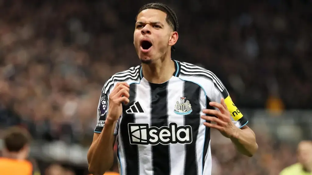 newcastle vs man city — AL news