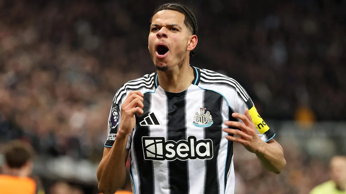 newcastle vs man city — AL news