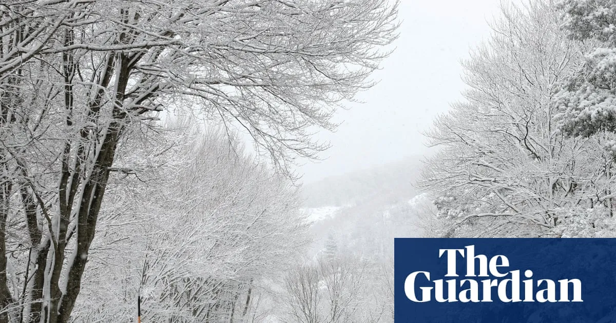 weather — AL news