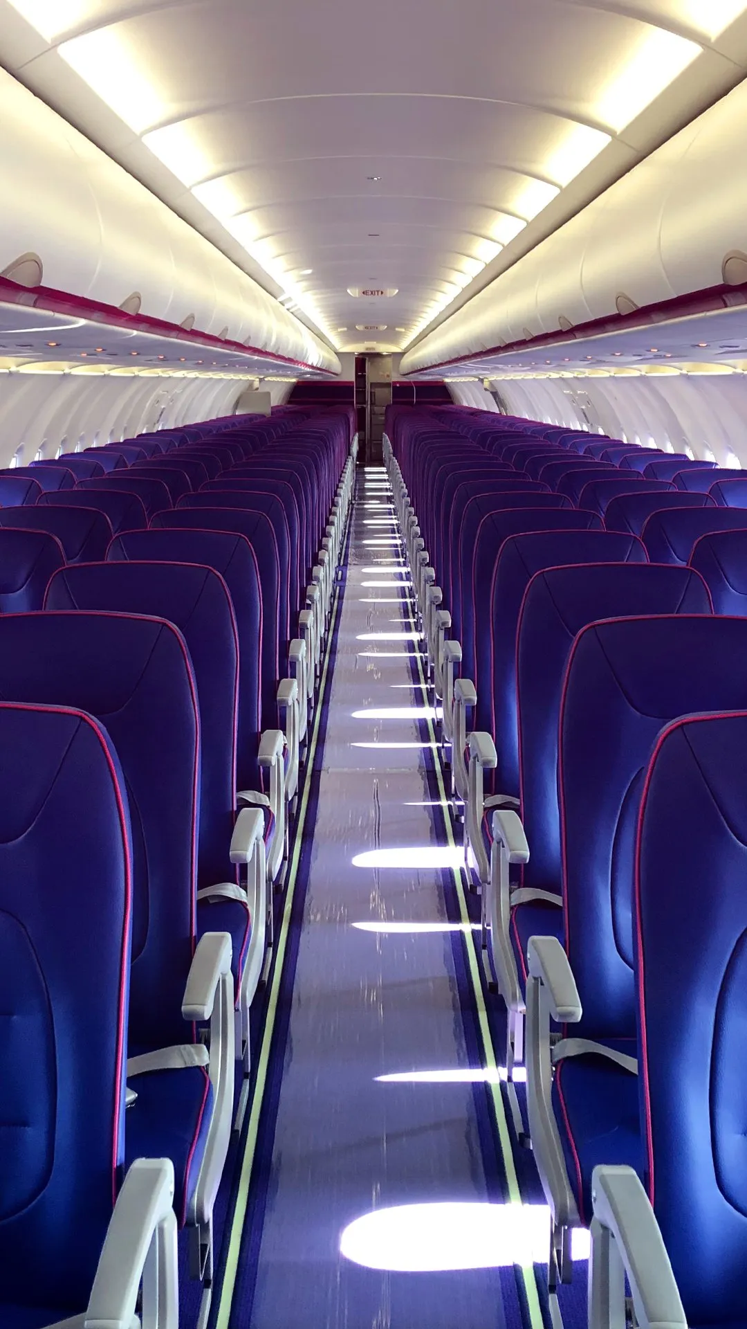 wizz air — AL news